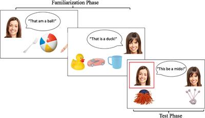 Children Treat Grammatical Errors Differently for Native and Non-Native Speakers